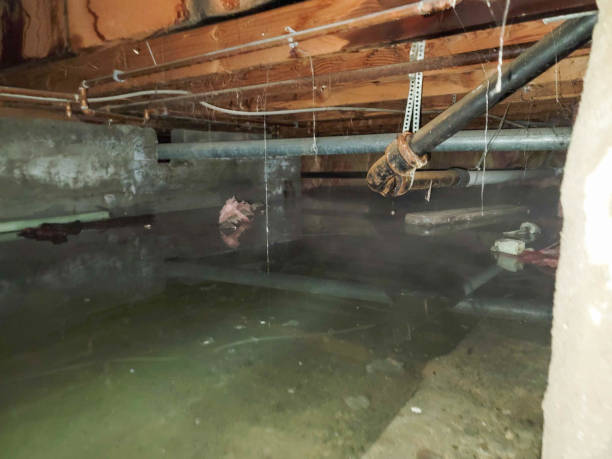 Best Water damage restoration services  in Juneau, WI
