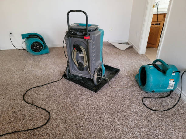 Best Flood restoration services  in Juneau, WI