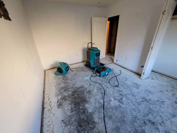 Best Carpet water damage restoration  in Juneau, WI