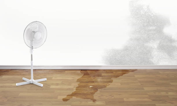 Best Sewage cleanup and water damage restoration  in Juneau, WI
