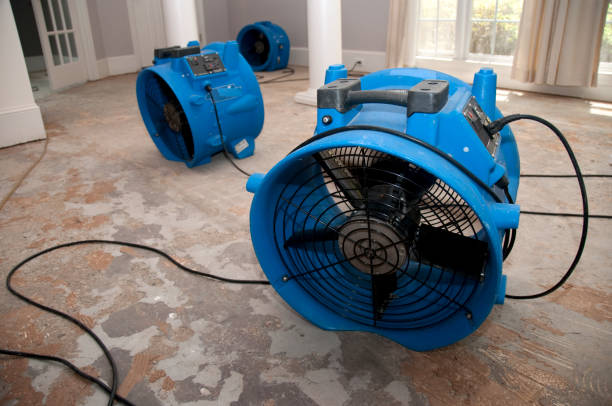 Best Fire Damage Restoration  in Juneau, WI