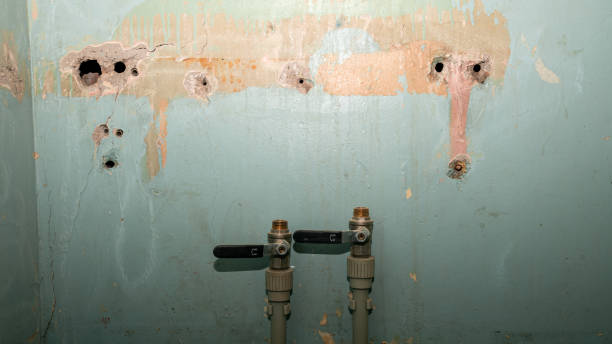 Best Water damage contractors near me  in Juneau, WI