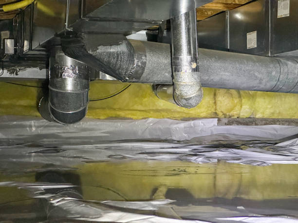 Best Mold removal after water damage  in Juneau, WI