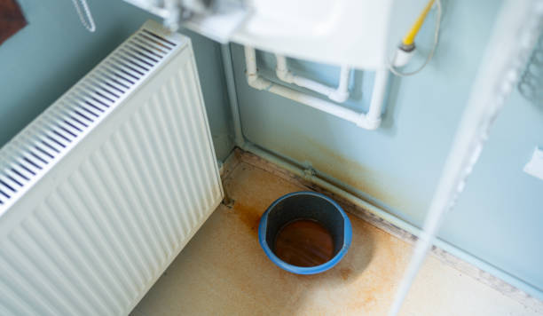 Best Professional water damage repair  in Juneau, WI