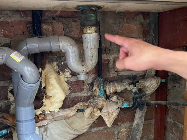 Best Water damage restoration near me  in Juneau, WI