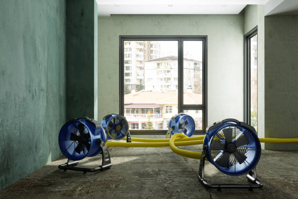 Best Carpet water damage restoration  in Juneau, WI